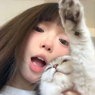 执法者们粤语